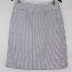 Chadwicks Blue/White Striped Skirt, Sz 8
